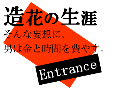 ���Ԃ̐��U Entrance